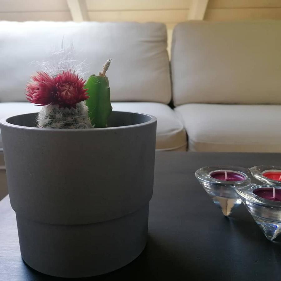 Argostoli Loft Aparthotel Luaran gambar