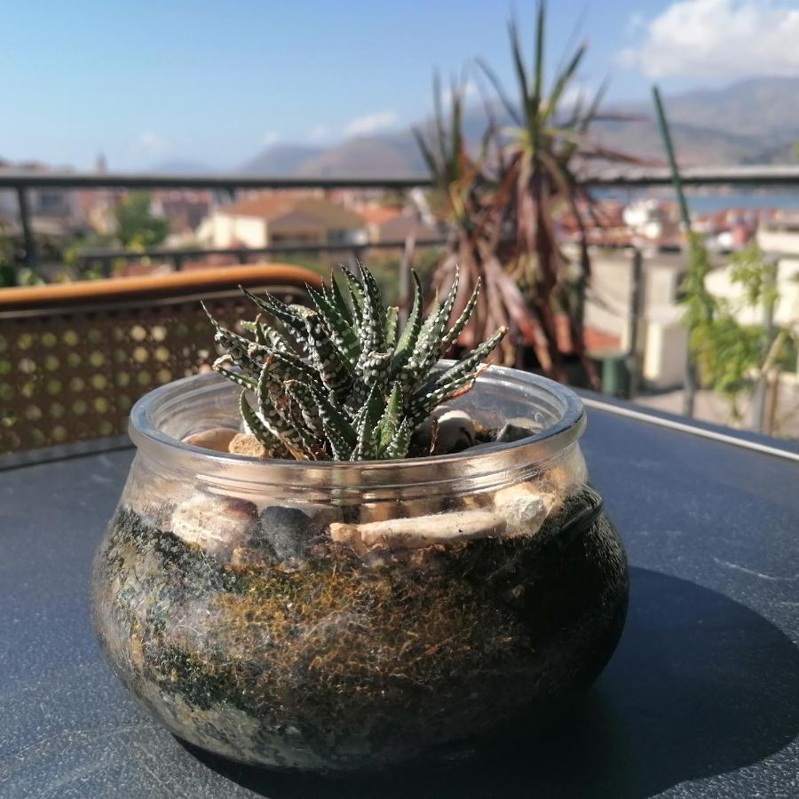 Argostoli Loft Aparthotel Luaran gambar